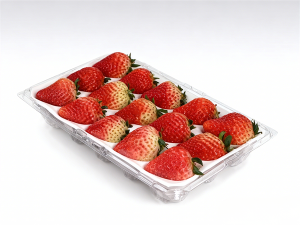 草莓包装吸塑盒 草莓包装吸塑盒