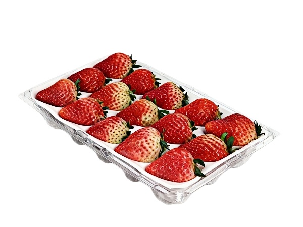 草莓包装吸塑盒